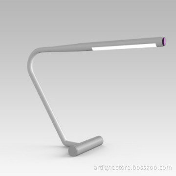 Modern LED Decorative Lamp